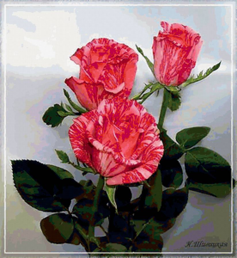 №353840 - предпросмотр