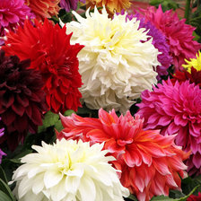 Схема вышивки «№353847»