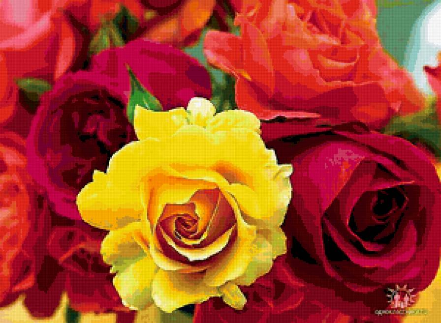 №353853 - предпросмотр