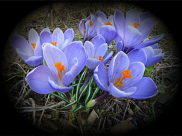 №353857 - оригинал