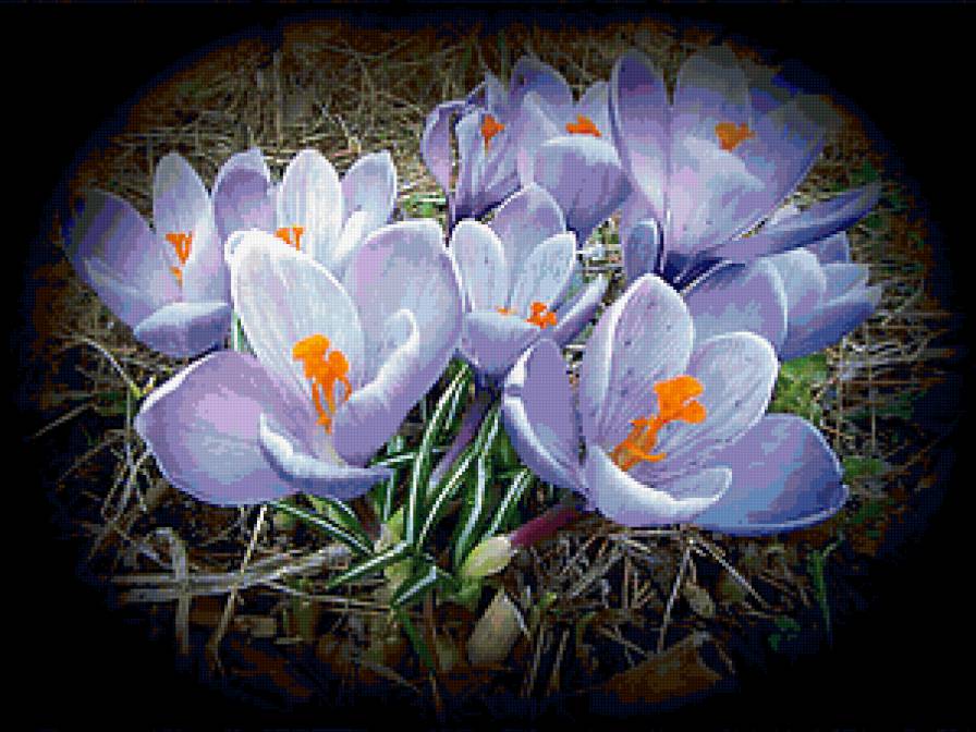 №353857 - предпросмотр