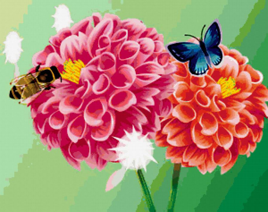 георгины - цветы - предпросмотр