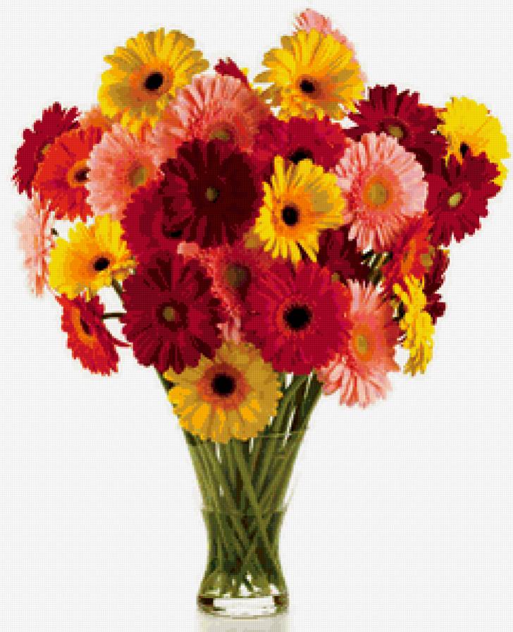 герберы - цветы - предпросмотр