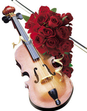 розы - цветы - оригинал