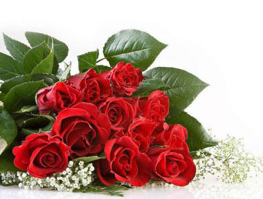 розы - цветы - оригинал