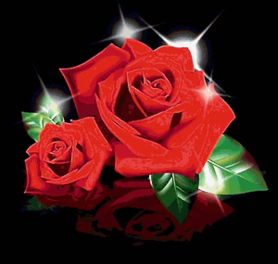 роза - цветы - предпросмотр