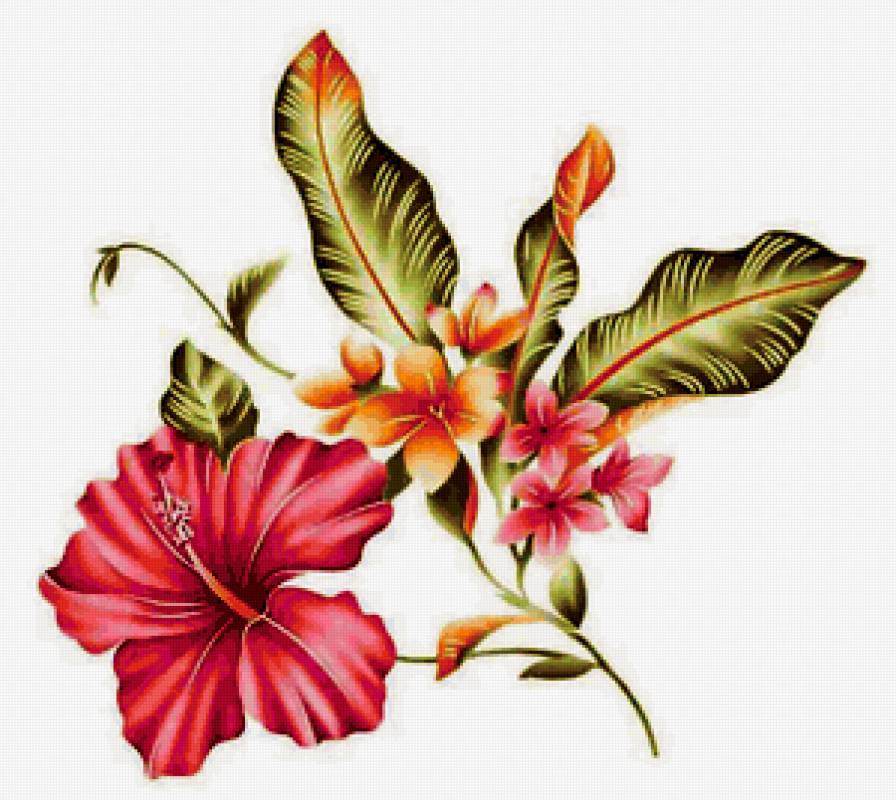 гибискус - цветы - предпросмотр