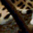 Предпросмотр схемы вышивки «леопард» (№354108)