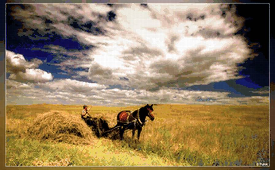 сенокос - поле, лошадь, лето, сено - предпросмотр