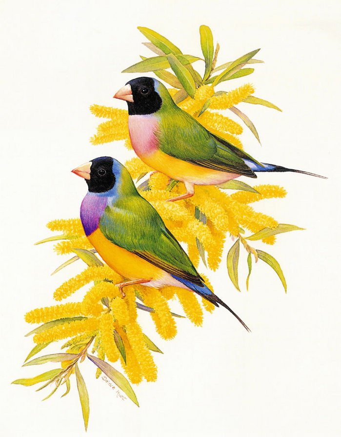 №354133 - оригинал