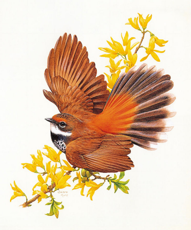 №354142 - оригинал