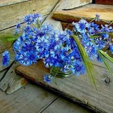 Схема вышивки «№354168»