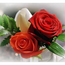 Схема вышивки «№354171»