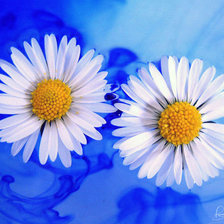 Схема вышивки «№354172»