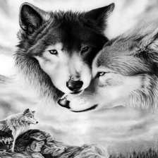 Схема вышивки «Волки»