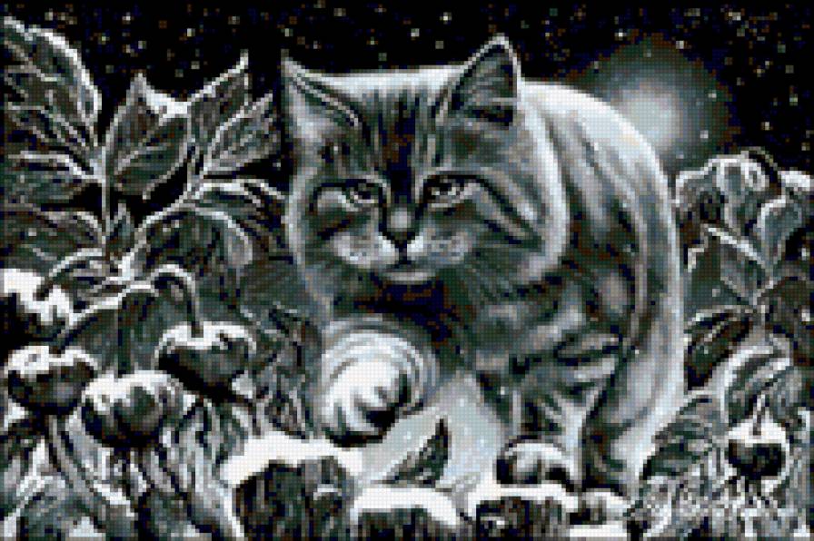 Зимний кот - черное, зверь, природа, зима, кот, животное - предпросмотр