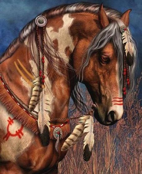 лошадь - индеец, конь, перья, животные - оригинал