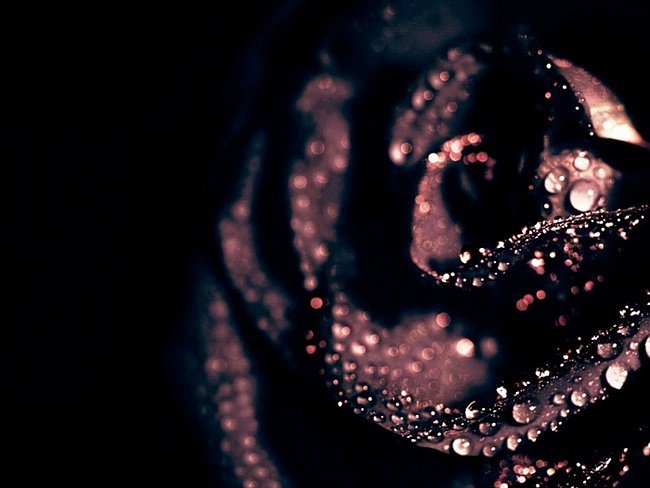 №354287 - оригинал