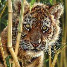 Схема вышивки «№354343»