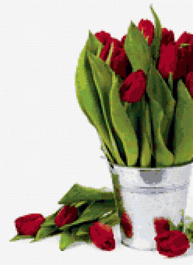 тюльпаны - предпросмотр