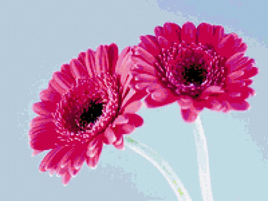 GERBERY - предпросмотр