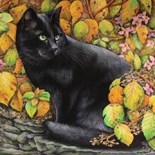 Ирина Гармашова 