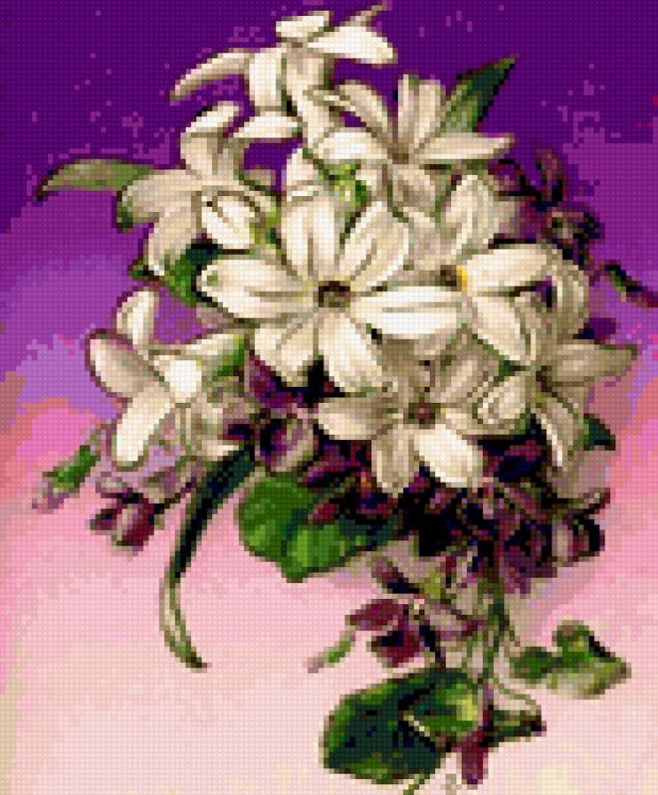 Цветы - предпросмотр