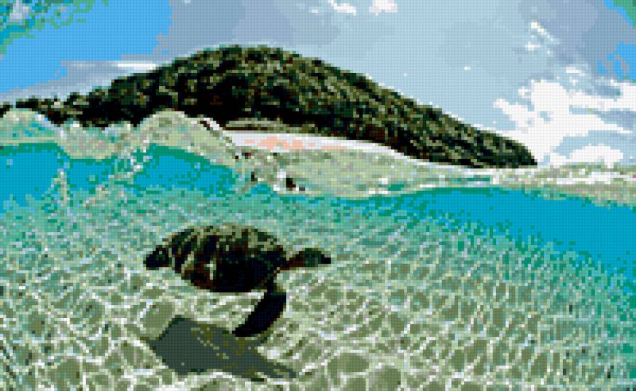 МОРСКАЯ ЧЕРЕПАХА - морская черепаха - предпросмотр