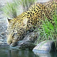 Схема вышивки «№355569»