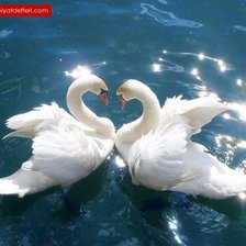 Схема вышивки «Пара белых лебедей»