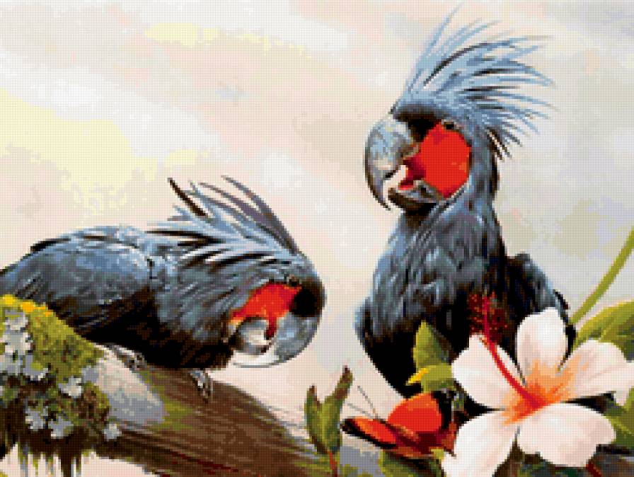 №355927 - предпросмотр