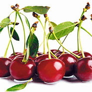 фрукті - оригинал