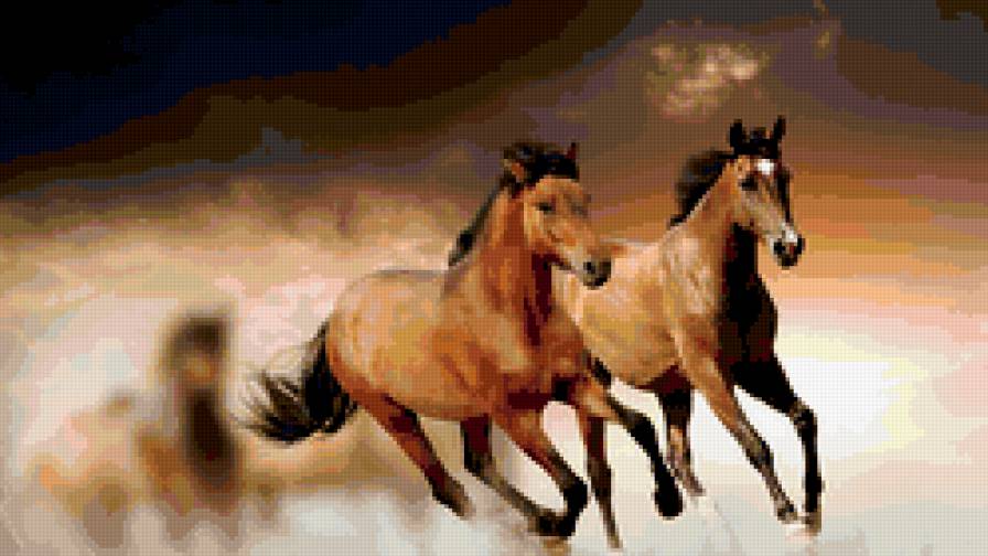 Лошади - животные, лошади - предпросмотр