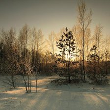 Схема вышивки «зима»