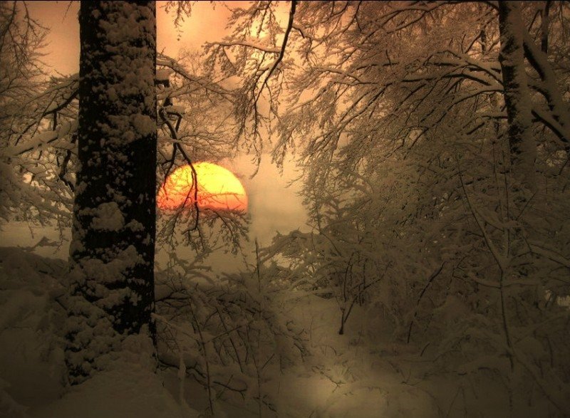 зима - оригинал