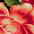 Предпросмотр схемы вышивки «розы» (№356251)