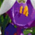 Предпросмотр схемы вышивки «цветы» (№356303)