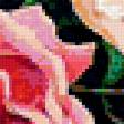 Предпросмотр схемы вышивки «Розы и фрукты» (№356318)