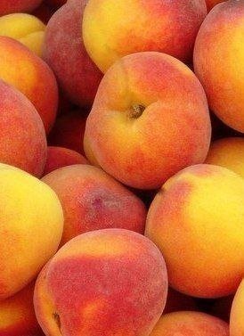 персики - персик, фрукт - оригинал