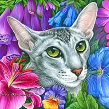 Схема вышивки «кошка-76»