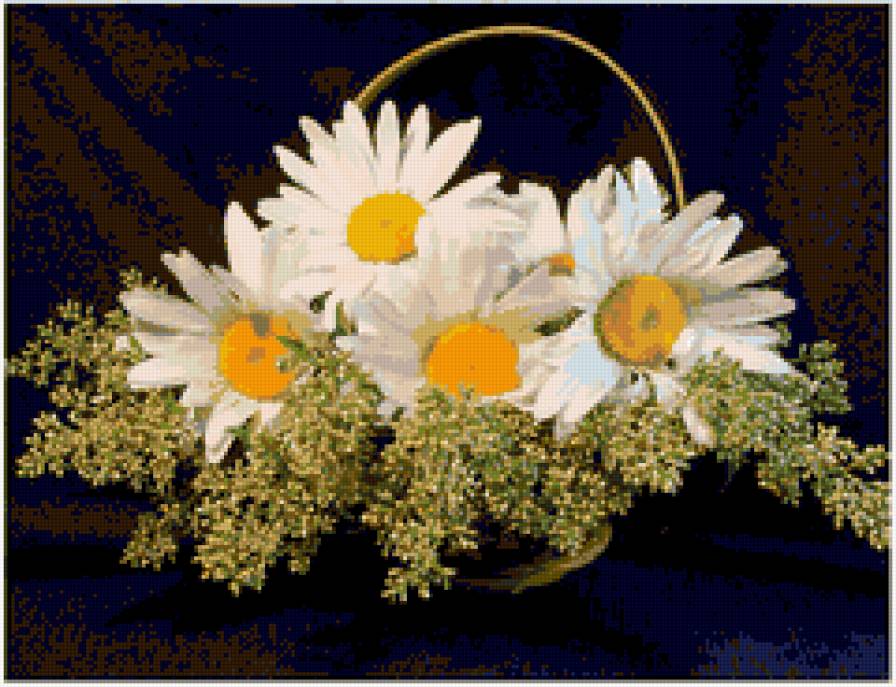 ромашки - предпросмотр