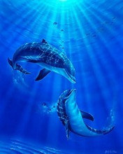 Пара - море, дельфины - оригинал