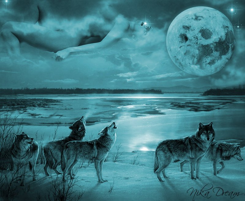 Волки и луна - силуэт, луна - оригинал