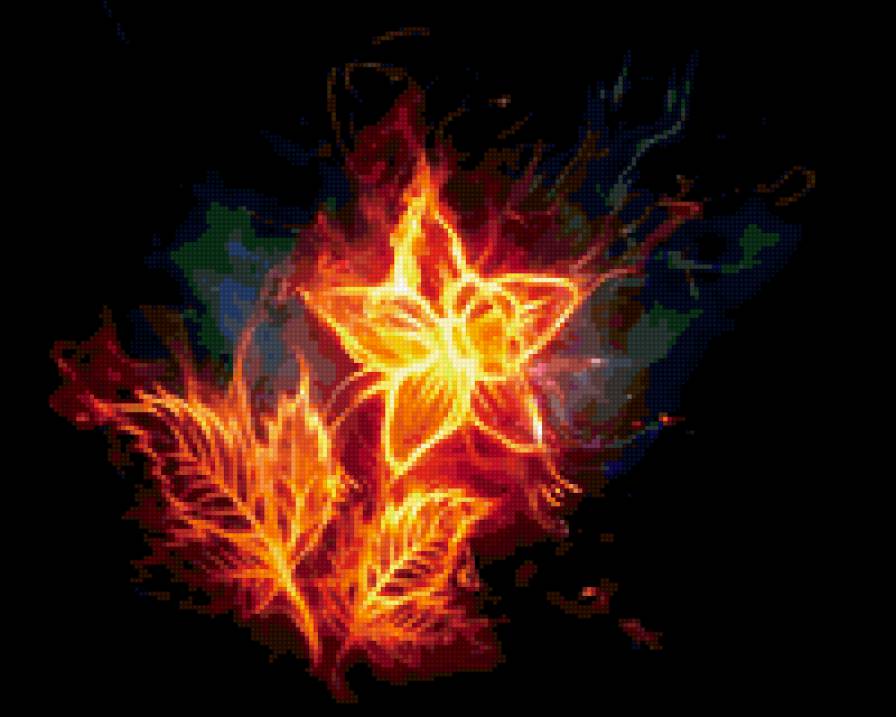 Огненный цветок - цветок, огонь - предпросмотр