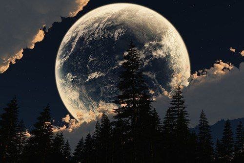 Полнолуние - ночь, луна, лес - оригинал