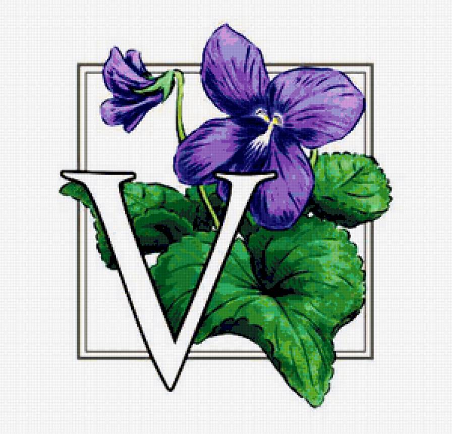 цветок - цветок, цветы - предпросмотр