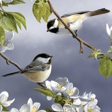 Схема вышивки «№356596»