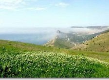 Схема вышивки «Балаклава»