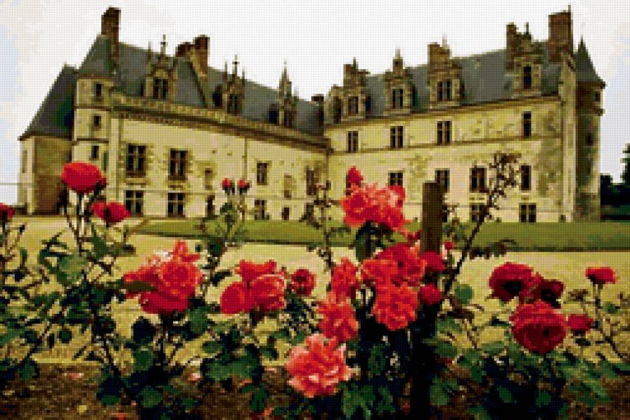 Замковые розы - замок розы цветы - предпросмотр