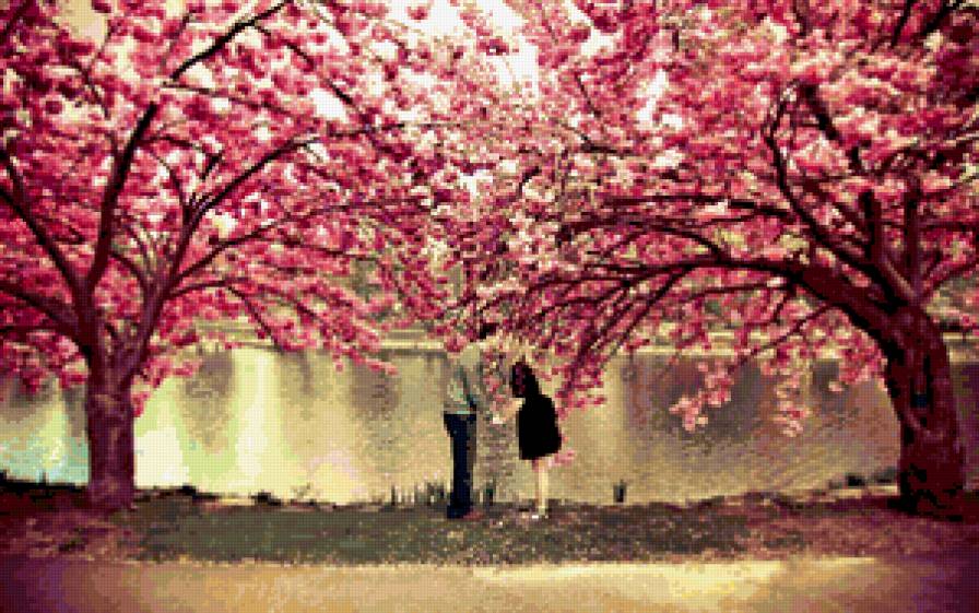 Пара - сад, любовь, цветы, пара - предпросмотр